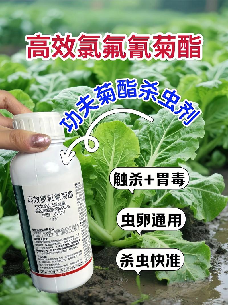 泰安代生中心:农药对供卵代生妈妈的危害